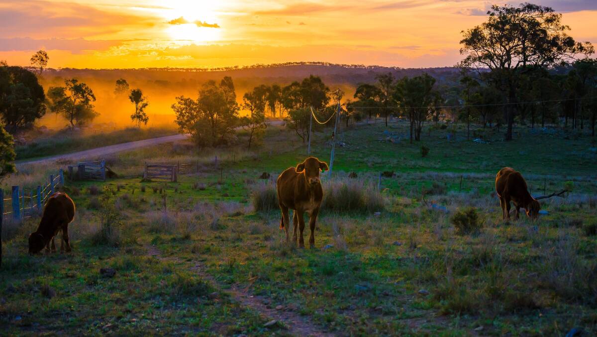 Misty and cold autumn mornings in Stanthorpe are very un-Queensland - which is one of the town's greatest charms. Picture by Tourism and Events Queensland/Jewels Lynch