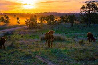 The freezing Queensland town named Australia's top tourism spot for 2026