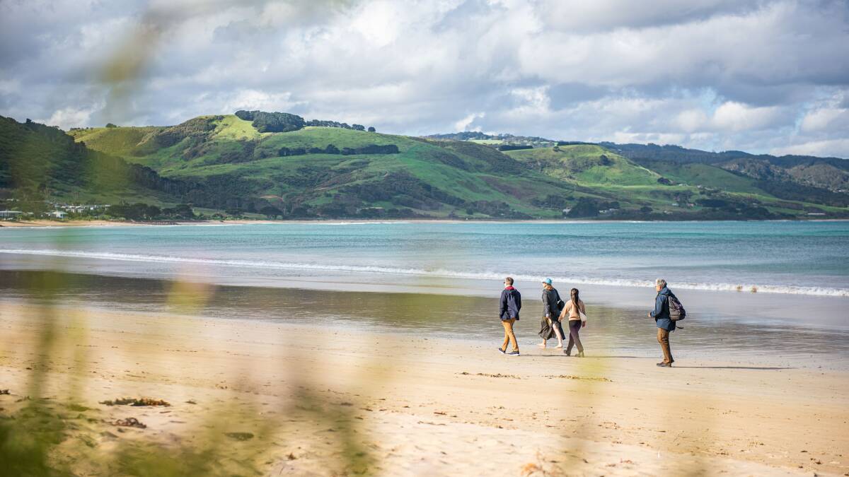 Winter is the perfect time for beach walks at Apollo Bay along the Great Ocean Road in Victoria. Picture by Visit Vistoria