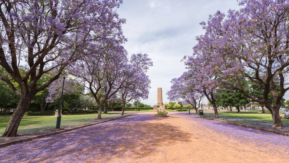 Dubbo in the central west of NSW is popular for safari-style zoo encounters and outback experiences. Dubbo in the central west of NSW is popular for safari-style zoo encounters and outback experiences.