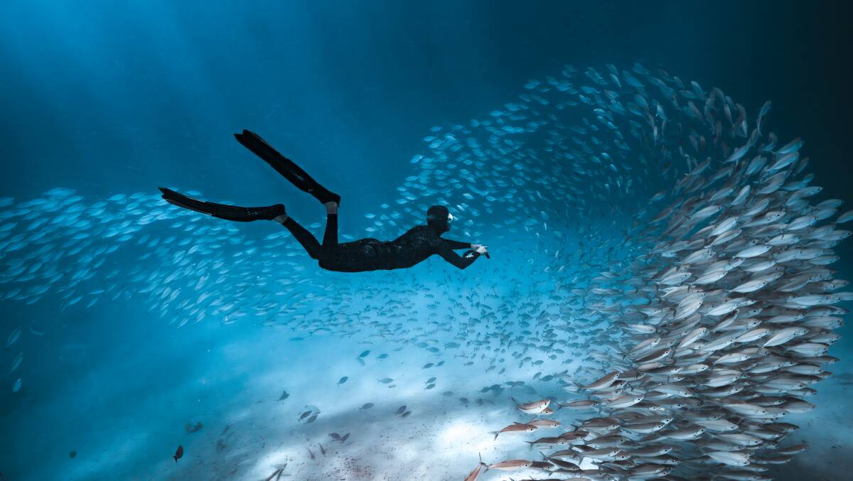 Palau is a paradise for divers and nature lovers. Picture by Josh Burkinshaw Palau is a paradise for divers and nature lovers. Picture by Josh Burkinshaw