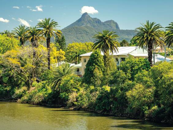 A view along the lush Tweed River banks. Picture by Alex Cimbal/Shutterstock