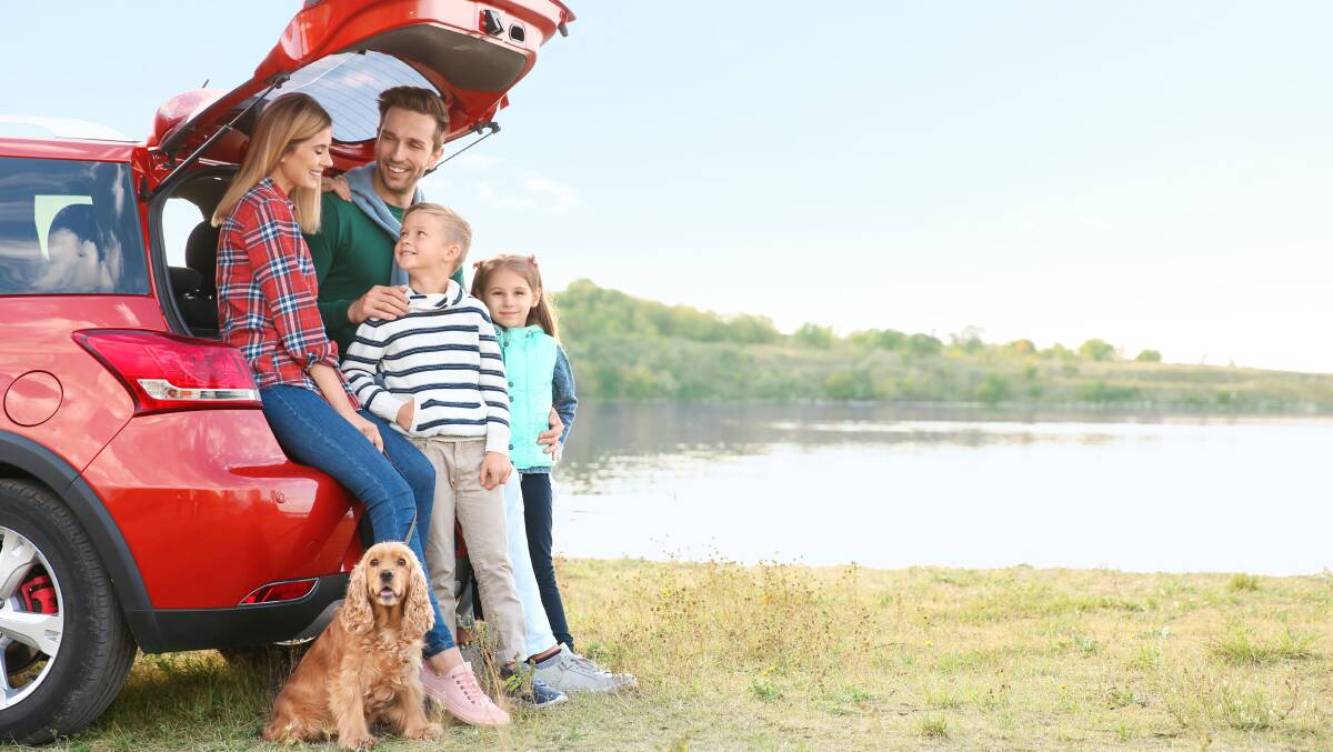 More families are taking their dogs on their road trips. Picture: Shutterstock More families are taking their dogs on their road trips. Picture: Shutterstock
