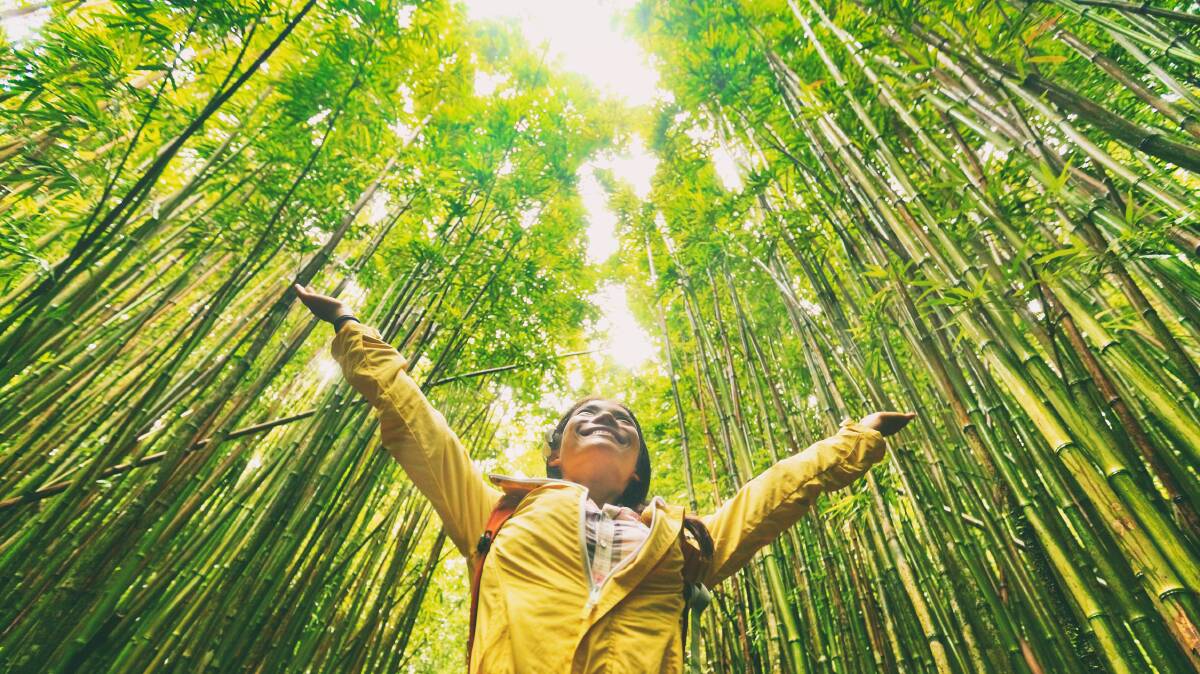 A solo traveller. Picture by Shutterstock