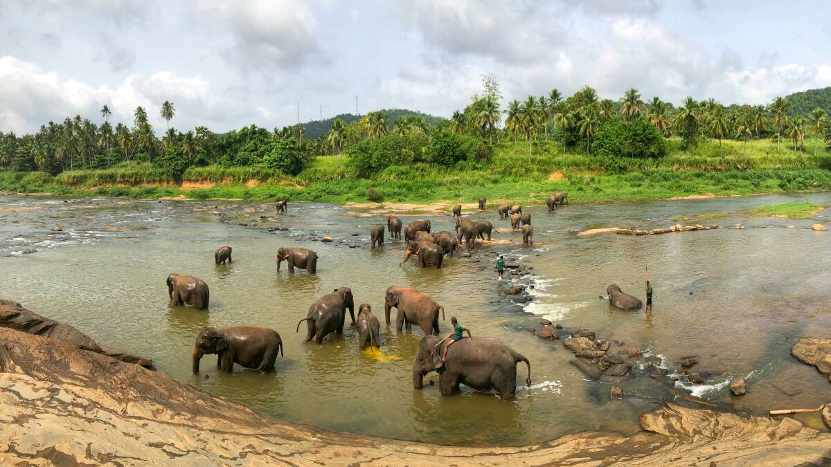 An elephant orphanage in Rambukkana. Picture by Abdulla Faiz/Unsplash