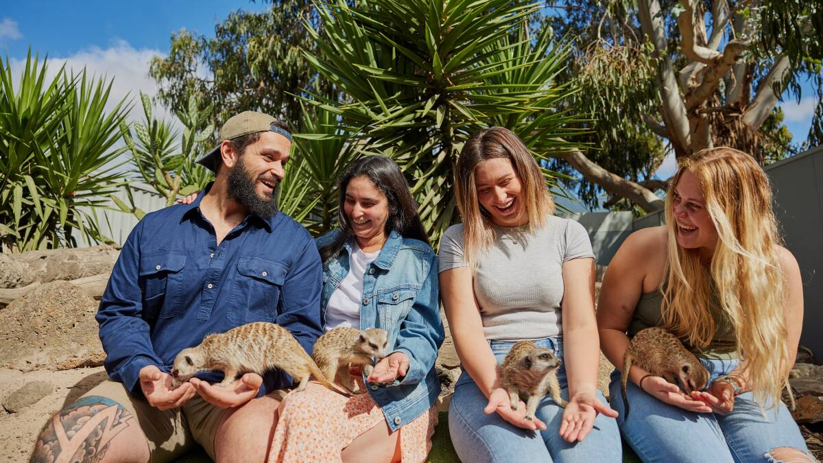 Some of the friendly locals at Halls Gap Zoo in Halls Gap, which was named one of the country's most welcoming cities. Picture by Visit Victoria