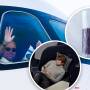 Cult Nordic airline brings blueberry juice and sleek design to Australian skies