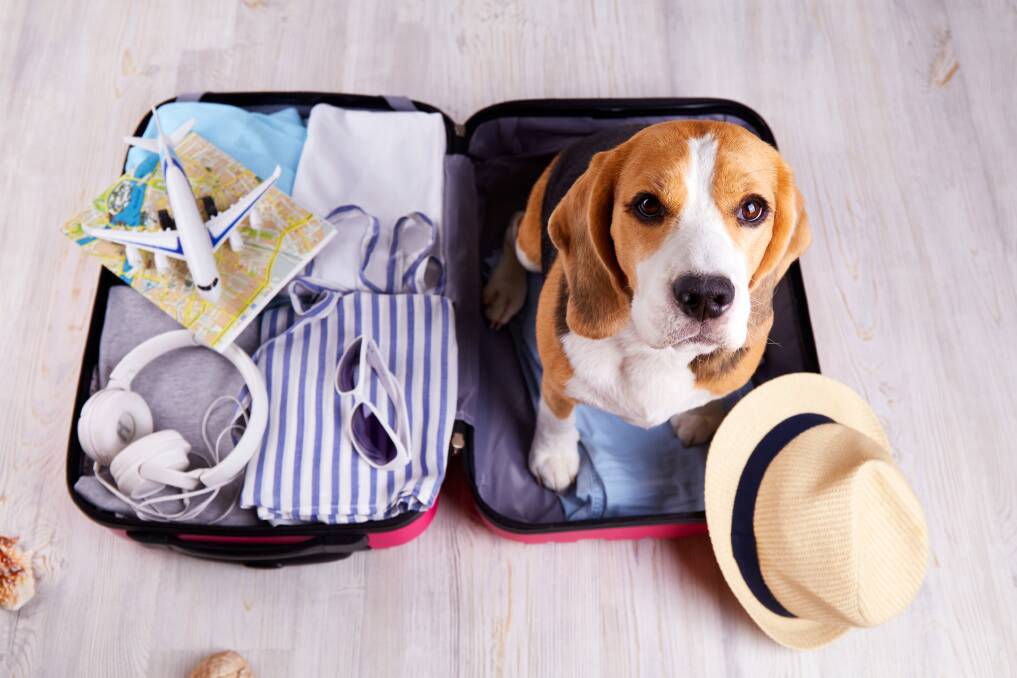 Picture: Shutterstock