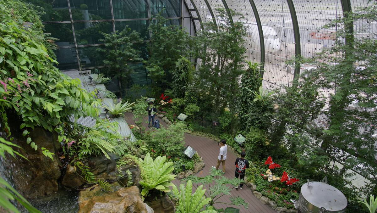 Changi's Butterfly Garden.