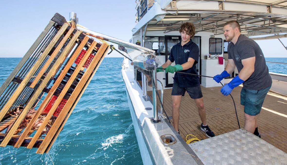 Visitors can help pull up the lobster pots.