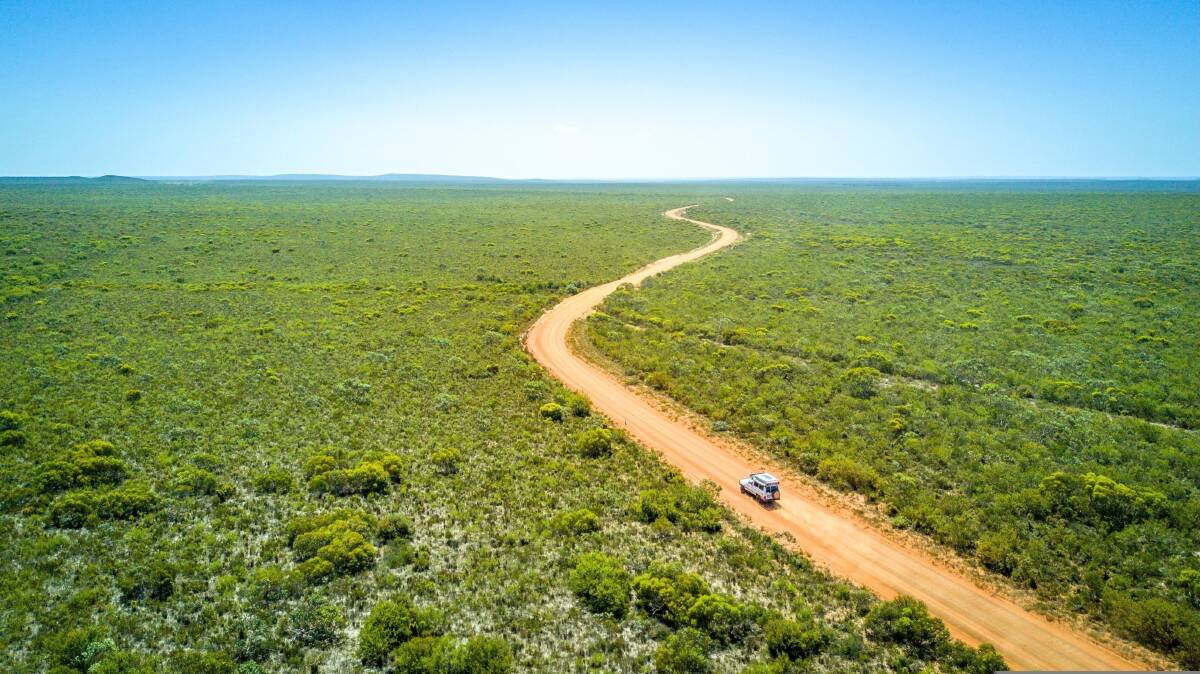 Picture by Shutterstock Picture by Shutterstock
