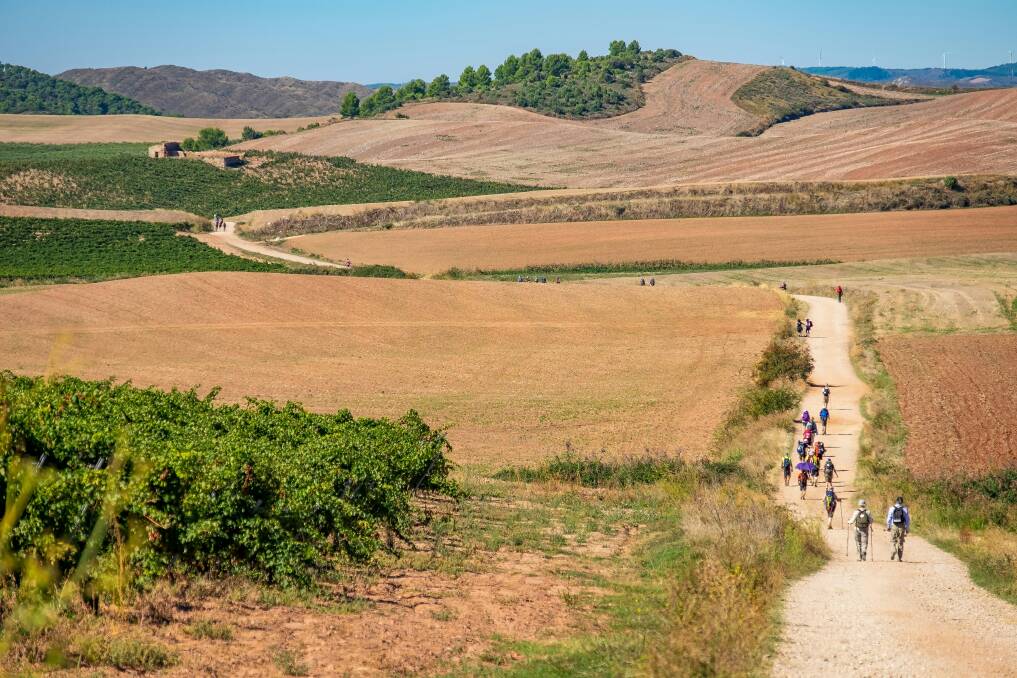 A section of the Camino De Santiago. Picture from Unsplash