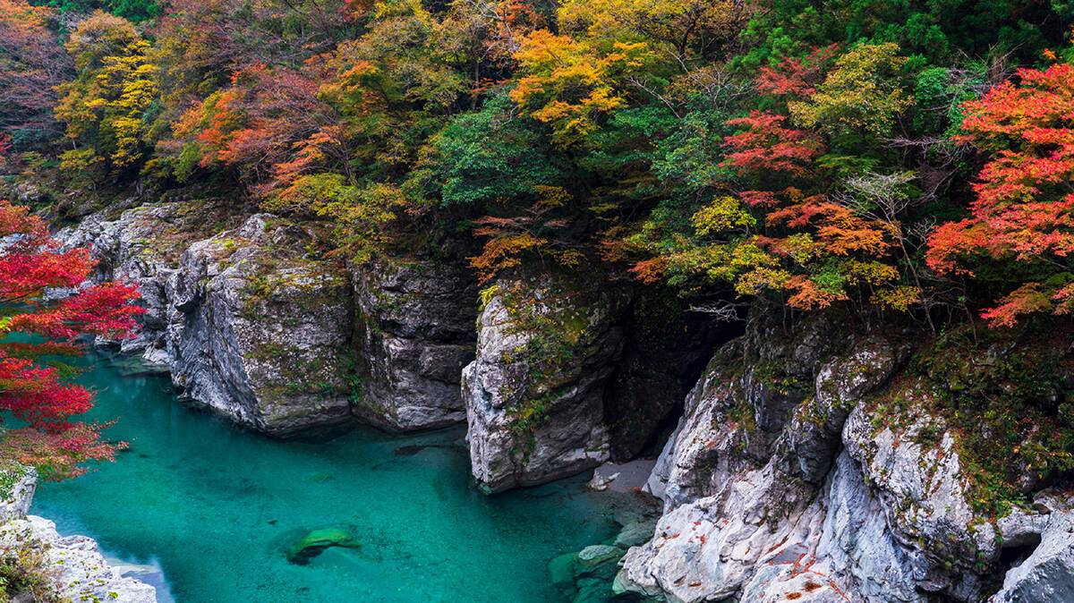 Iya Valley in autumn when the leaves are turning and the water is tranquil. Picture: JNTO Iya Valley in autumn when the leaves are turning and the water is tranquil. Picture: JNTO