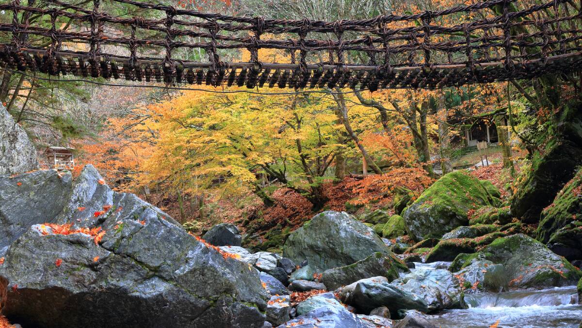 Kazurabashi vine bridge above the Iya River in Autumn. Picture: JNTO Kazurabashi vine bridge above the Iya River in Autumn. Picture: JNTO