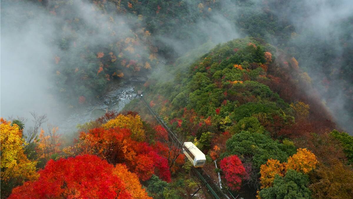 The cable car taking Hotel Iyaonsen guests to the river hot springs below plunges through colourful forests in autumn. Picture: JNTO The cable car taking Hotel Iyaonsen guests to the river hot springs below plunges through colourful forests in autumn. Picture: JNTO