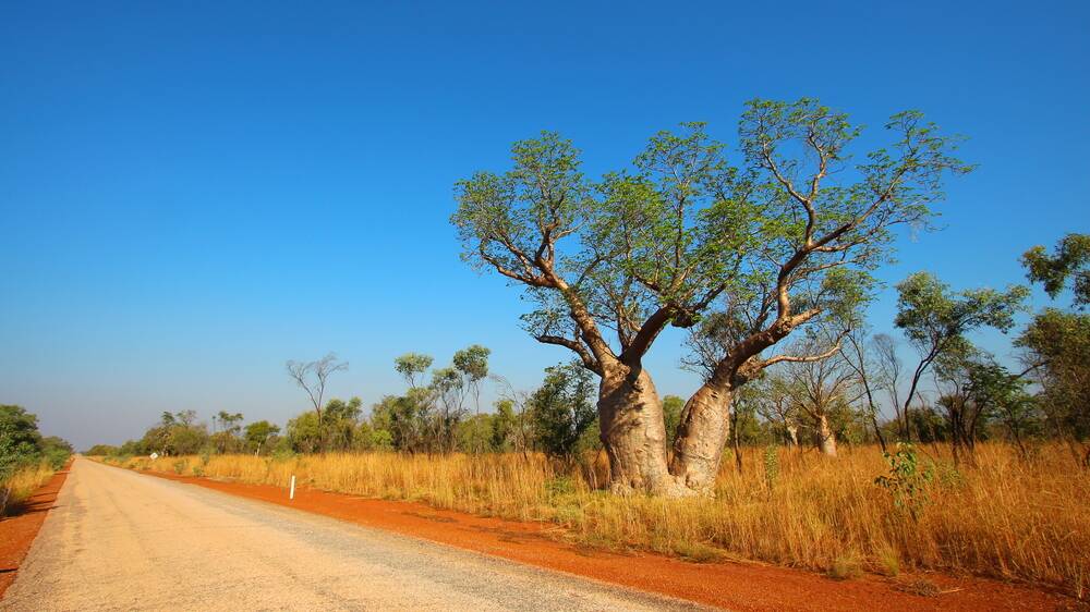 The Gibb River Road stretches from Derby to Kununurra in Western Australia. Picture Shutterstock