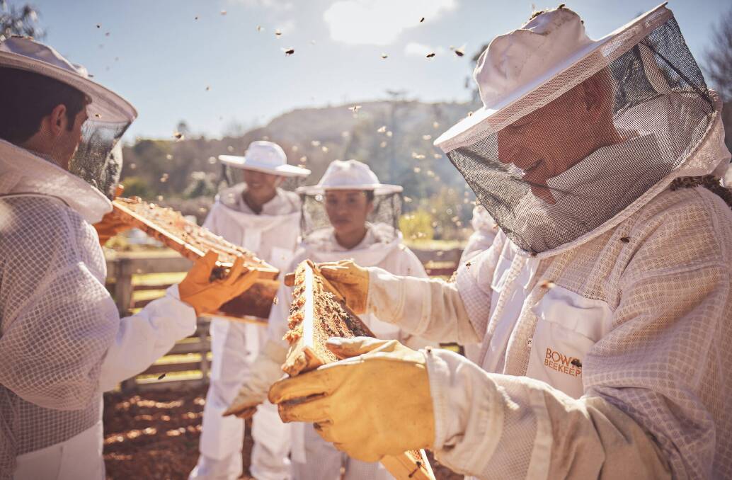 Learn to extract honey at Bowral Honey Farm. Picture supplied