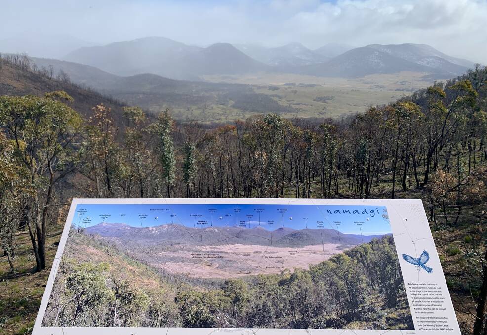 View from Hospital Hill about six months after the Black Summer fires. Picture by Tim the Yowie Man