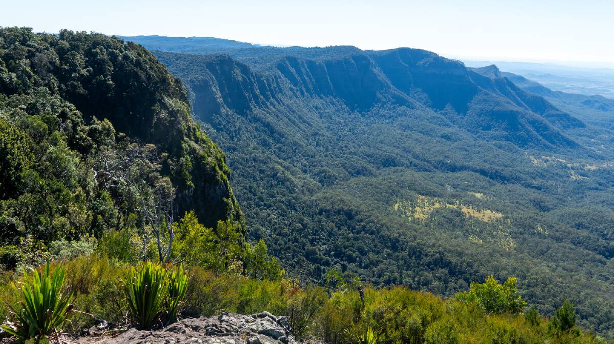 The ridge of the Main Range National Park. Picture by Michael Turtle The ridge of the Main Range National Park. Picture by Michael Turtle