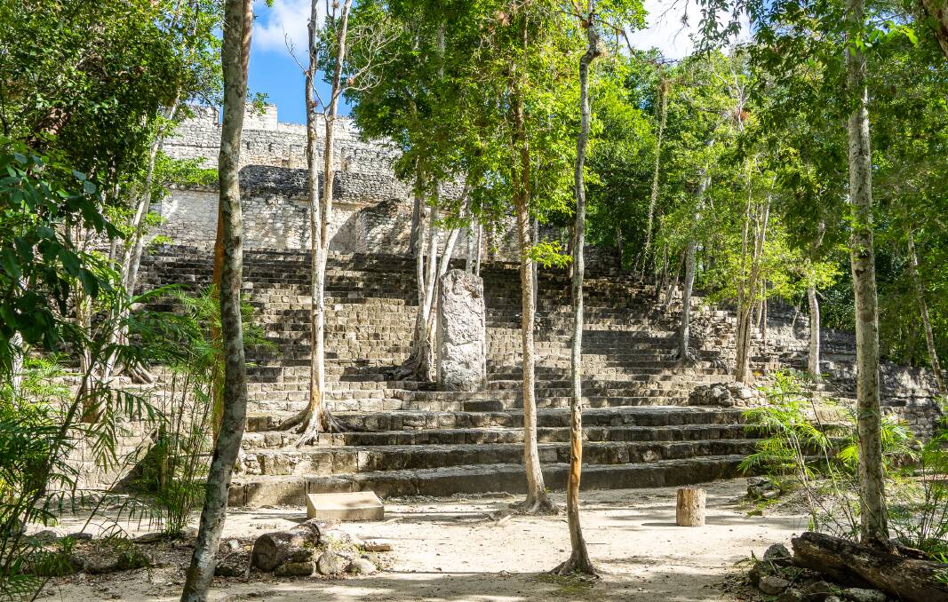 The Calakmul ruins. Picture by Michael Turtle The Calakmul ruins. Picture by Michael Turtle