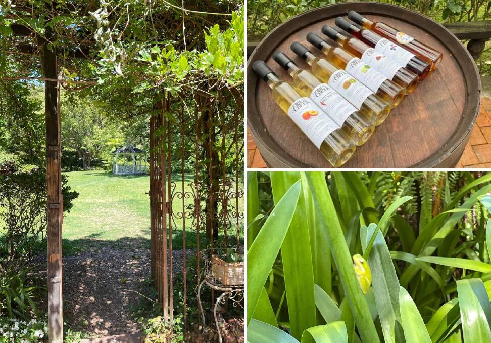 Scenes from Firescreek Winery, where nature makes the best wine.
