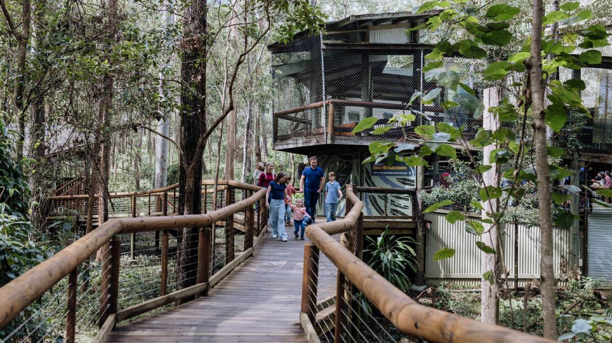 Daisy Hill Koala Centre. Picture by QLD Government Parks and Forests Daisy Hill Koala Centre. Picture by QLD Government Parks and Forests