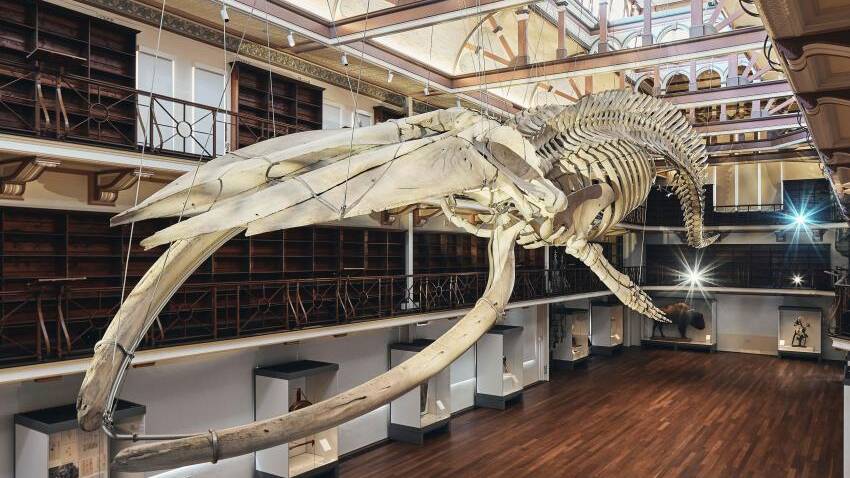 WA-Museum-BoolaBardip. Hackett-Hall. Photo by Peter Bennetts Museum Website WA-Museum-BoolaBardip. Hackett-Hall. Photo by Peter Bennetts Museum Website