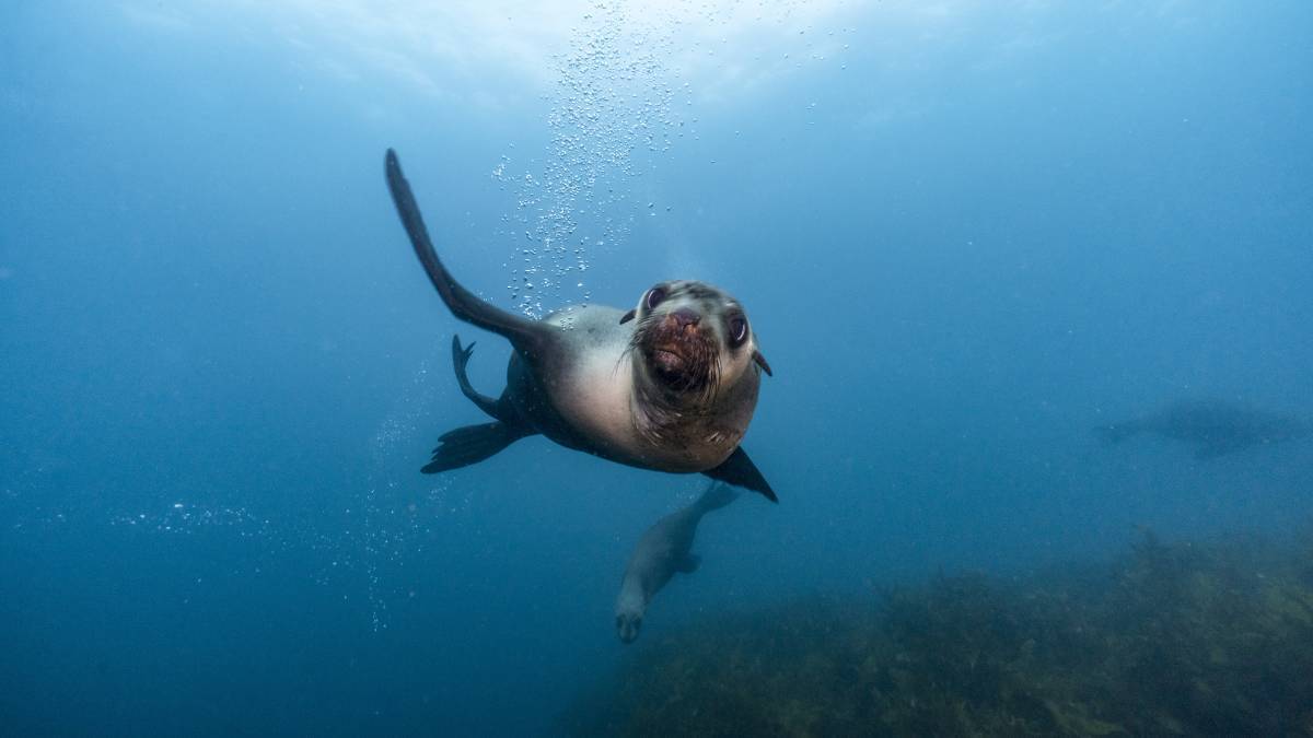 NSW South Coast weekend getaway that covers everything