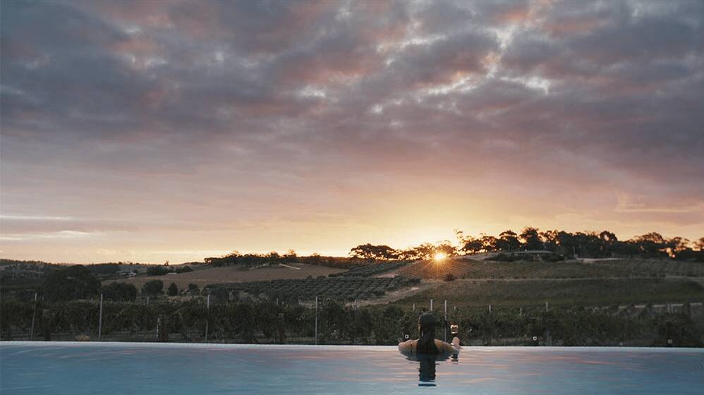 The view from Barossa Valley’s infinity pool The view from Barossa Valley’s infinity pool
