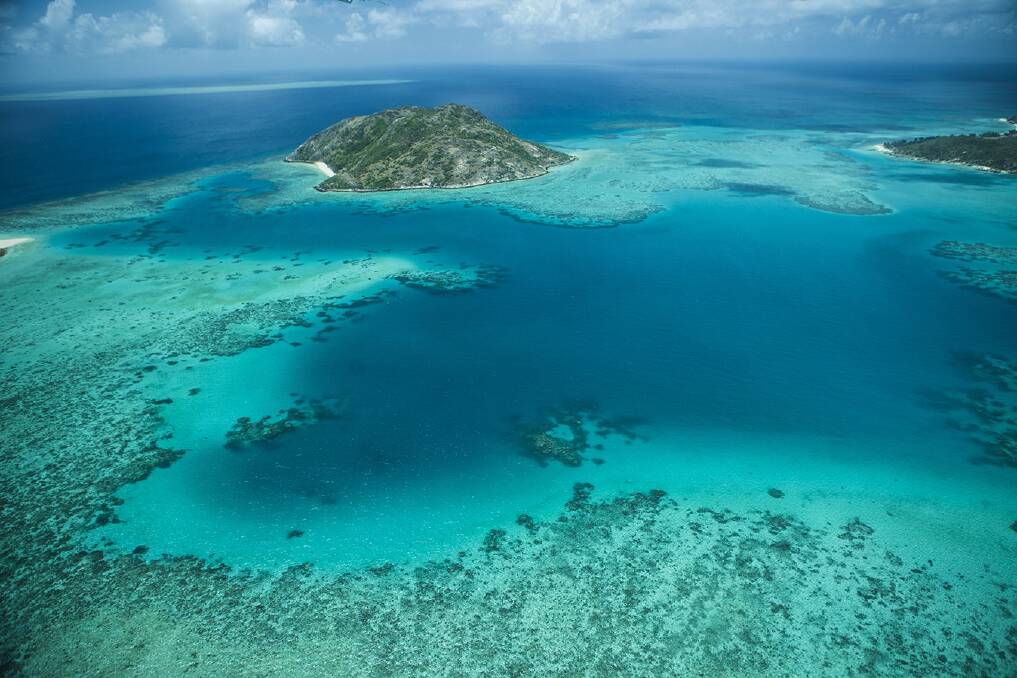 How Lizard looks from above How Lizard looks from above
