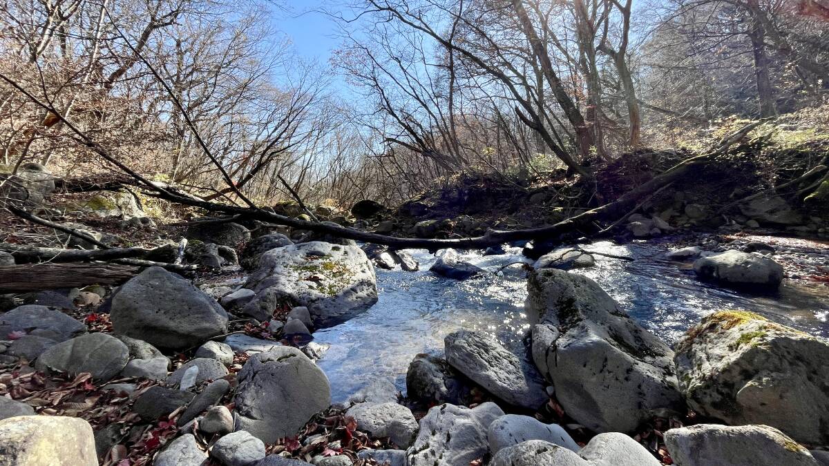 A river inside the Nasu Heisi-no-Mori forest. Picture by Madeline Link A river inside the Nasu Heisi-no-Mori forest. Picture by Madeline Link
