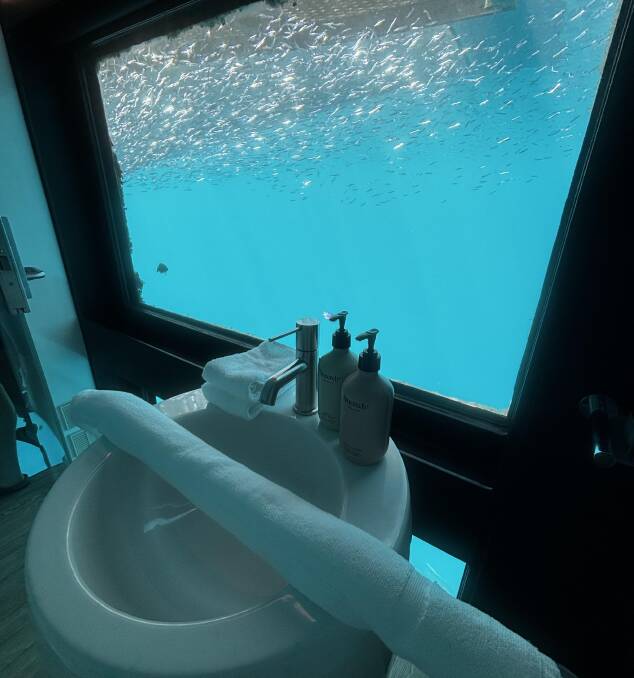 Bathroom with a view - the two Reefsuites have underwater en-suites attached. Picture by Kate Cox