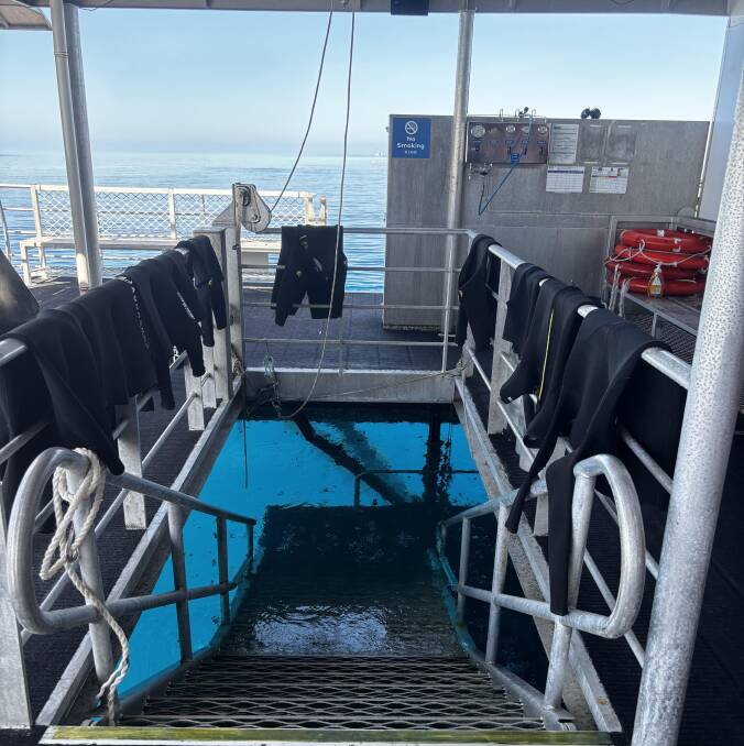 Walk down the stairs and into the ocean. Picture by Kate Cox