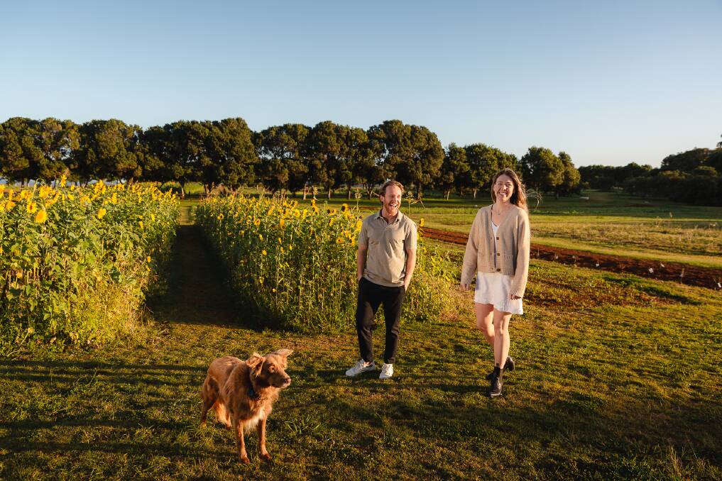 A couple and dog on a farm walk at Farm and Co.