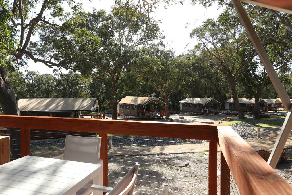 Stay in a deluxe glamping tent at the peaceful Port Stephens Koala Sanctuary. Stay in a deluxe glamping tent at the peaceful Port Stephens Koala Sanctuary.