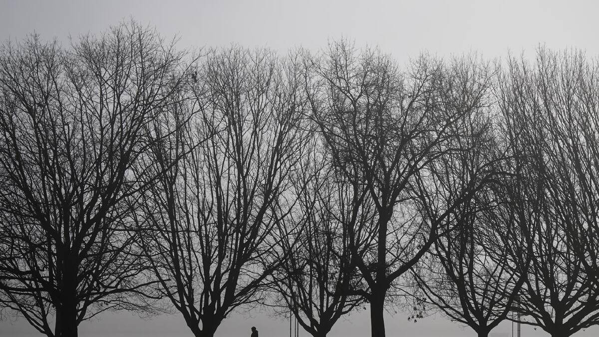 Canberra residents can expect a return to winter-like conditions. (Lukas Coch/AAP PHOTOS)