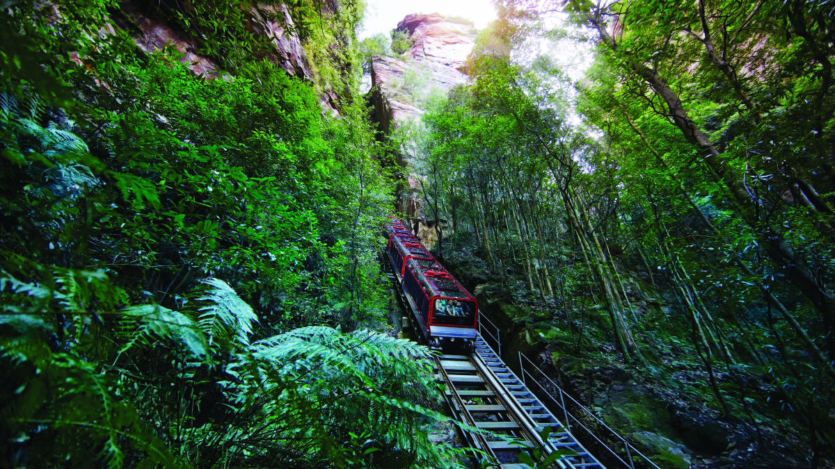 The Scenic Railway is the steepest in the world. The Scenic Railway is the steepest in the world.