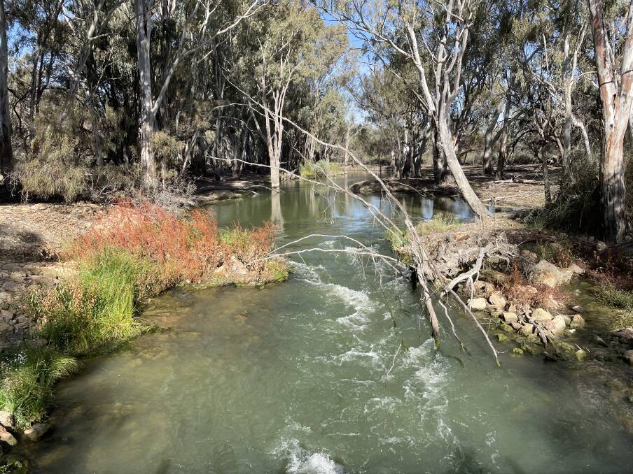 The Murray River Walk showcases the beauty and diversity of the Riverland Ramsar Wetland area. Picture: Janet Howie The Murray River Walk showcases the beauty and diversity of the Riverland Ramsar Wetland area. Picture: Janet Howie