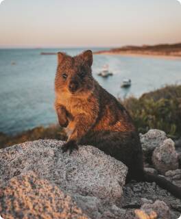 Perth and Rottnest Island