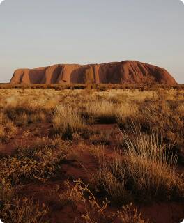 Indigenous Experiences